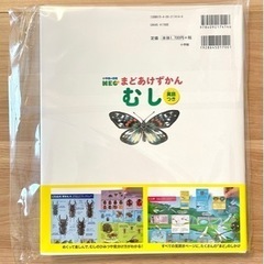 小学館の図鑑NEO まどあけずかん　むしの画像