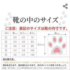 犬シューズ(美品)小型犬用の画像