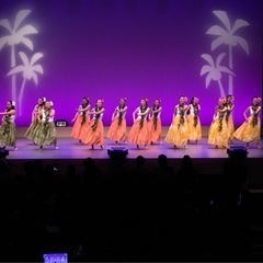 🌺横浜のフラダンスサークル　フラ レイ マイカイ🌺の画像