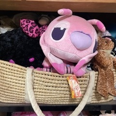ぬいぐるみ 