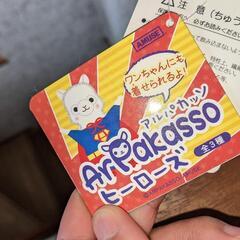 アルパカさん達の画像