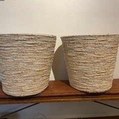 生活雑貨 家庭用品 ガーデニングの画像