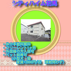 🌸シティハイム初馬202号室🌸✨仲介手数料無料✨敷金・礼金なし（...