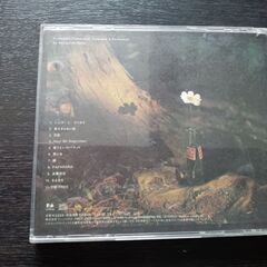 斉藤和義の画像