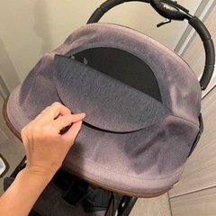 ピジョン　ビングル　B型ベビーカー　限定色の画像