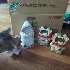 サムズのドリンクマグ　シーサー、姫シーサー、ジョーズ