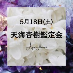 天海杏樹鑑定会
