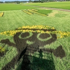 一緒には走って下さい😆