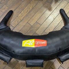 【中古】ブルガリアンサンドバッグ/25KG の画像