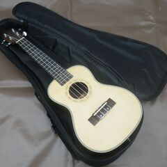 ウクレレ hong yin ケース付き 楽器