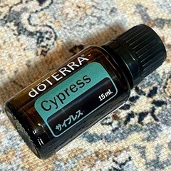 doTERRAの中古が安い！激安で譲ります・無料であげます(2ページ