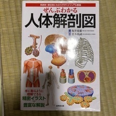 人体解剖図