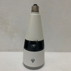 プラズマクラスター付人感センサーLEDライトの画像