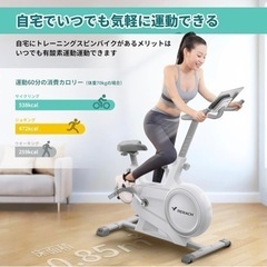 家電 生活家電 掃除機