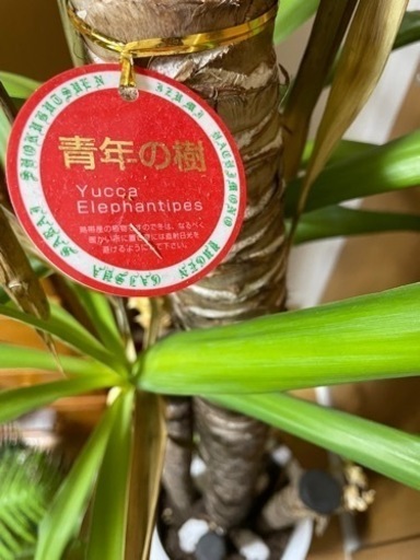 生活雑貨 家庭用品 ガーデニング