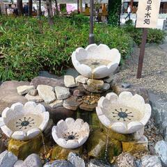 雑談メンバー募集✰⋆