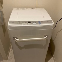 家電 生活家電 洗濯機