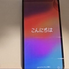 iPhone13pro シエラブルー 