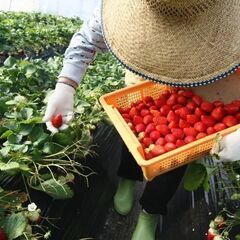 【就労継続支援A型】軽作業全般スタッフ【未経験OK！】