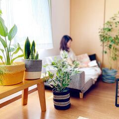 出店準備の軽作業スタッフ募集 4/26（松戸倉庫内:松戸駅より徒...