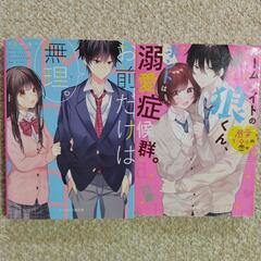 【8冊セット】野いちご文庫　ﾋﾟﾝｸﾚｰﾍﾞﾙ　ｹｰﾀｲ小説文庫　8冊セット　ばにぃ　✾あいら✾　柊乃　牡丹杏の画像