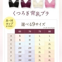 新品未使用　ルルクシェル　くつろぎ育乳ブラ　Mの画像