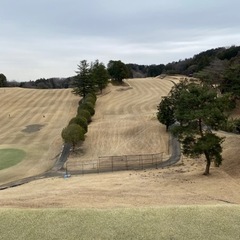 平日限定ゴルフ仲間大募集⛳️