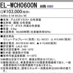 非常用照明　未使用品　2024年製