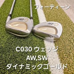 フォーティーン　C030ウェッジ　ダイナミックゴールド　AW,S...