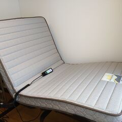 フランスベッド３モーター電動ベッド レステックス-01【引取限定】「値下げしました」