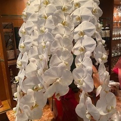 家具 インテリア雑貨/小物 置物、オブジェ