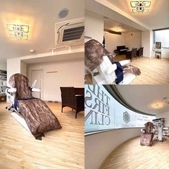医師募集の画像