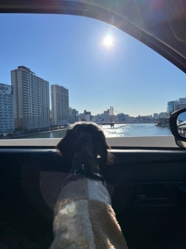 車の駐車場貸してください！