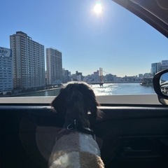 車の駐車場貸してください！