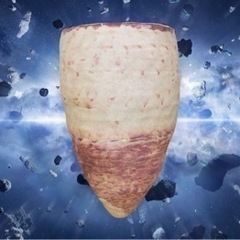 信楽焼　壁掛け花器　メダカ鉢の画像
