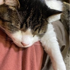 家計の固定費見直しお手伝いします