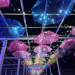 ランチ友達