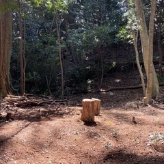 キャンプ場作りのお手伝いや見学募集です🏕雨天は中止です☔️