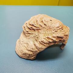 爬虫類、両生類シェルター　GEX製品の画像