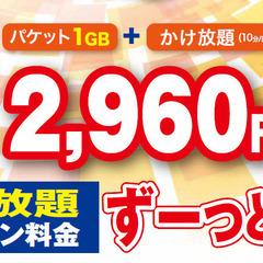 同じ【審査なし】ならレンタルよりも自分の携帯