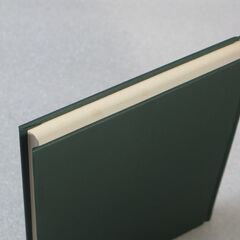 阿部泰山全集 第11巻の画像