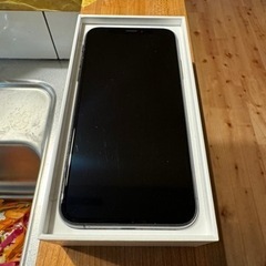 iPhone XS 256GB 海外 シャッター音 無し 海外ならiPhoneのカメラでシャッター音が鳴らなくなる？ iOS 15