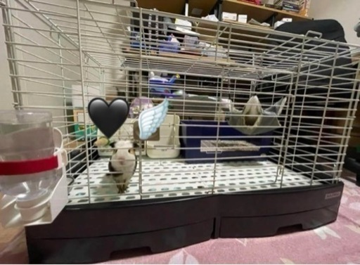 小動物用ケージ  (写真にある物だいたい全部です。)