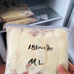 25匹 冷凍ラット　151ｇ～180ｇ