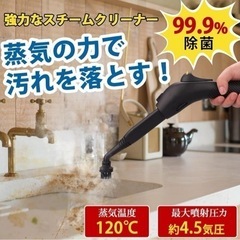 スチームクリーナーの画像