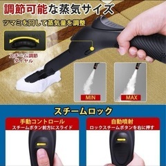 スチームクリーナーの画像