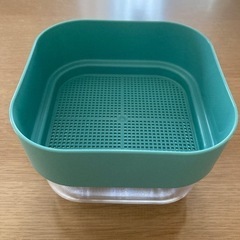 スプラウトを育てる容器の画像