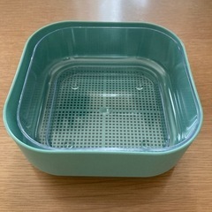 スプラウトを育てる容器