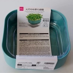 スプラウトを育てる容器の画像