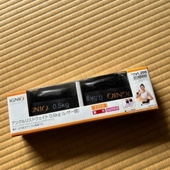 IGNIOアンクルリストウェイト　トレーニング